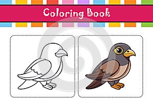Vivid Common Nighthawk Bird Design photo