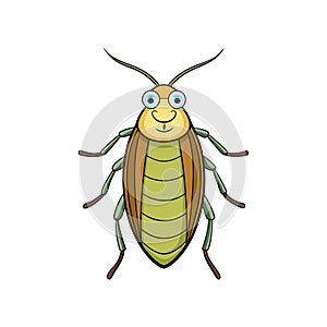 Vivid Creeping Water Bug Detailed Artwork