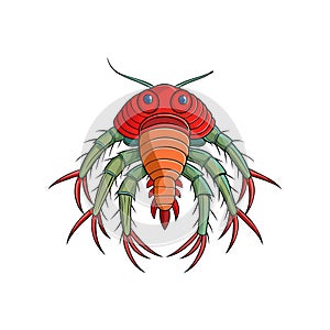 Vivid Cryptolithodes Crustacean Detailed Artwork