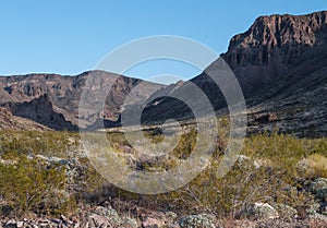 Vivid Desert landscape