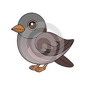 Vivid Dusky Flycatcher Bird Design