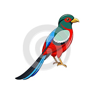 Vivid Elegant Trogon Bird Design