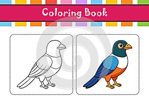 Vivid Elegant Trogon Bird Design