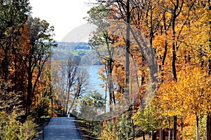 Vivid Fall Foliage