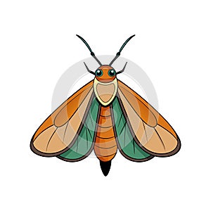 Vivid Indian Meal Moth Detailed Artwork