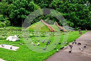 Vivid landscape in Alexandru Buia Botanical Garden from Craiova in Dolj county, Romania, with lake, waterlillies and large green