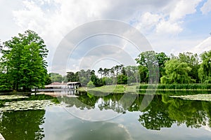 Vivid landscape in Nicolae Romaescu park from Craiova in Dolj county, Romania, with lake, waterlillies and large green tres in a