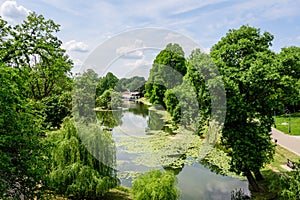 Vivid landscape in Nicolae Romaescu park from Craiova in Dolj county, Romania, with lake, waterlillies and large green tres in a