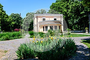 Vivid landscape in Nicolae Romaescu park from Craiova in Dolj county, Romania, with an old house, yellow iris flowes and large