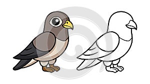 Vivid Lesser Nighthawk Bird Design photo