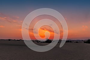 The vivid night sky just after sunset in the desert outside Dubai, UAE