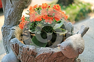 Vivid Orange Color Flowers of Flaming Katy Succulent Plants in a Planter with Little Bird Sculpture