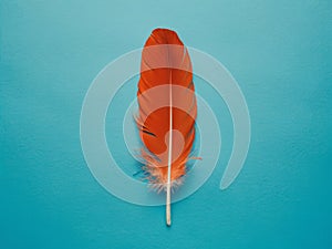 Vivid Orange Feather on a Bright Blue Background, Minimalist Composition