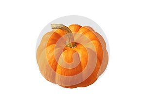 Vivid Orange Ripe Pumpkin Isolated on Transparent Background