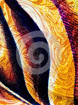 vivid and paper view of tiger skin for screen savers wallpapers backgrounds artworks designs and patterns