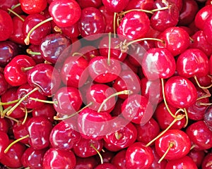 vivid red organic cherries top view closeup