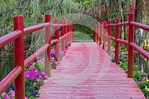 Red Footbridge Crossing Spring Flowers Bloom