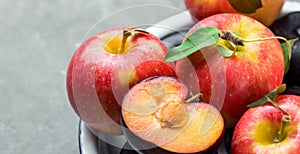 Vivid ripe red apple with stems green leaves dark halved plums on white enamel plate. Black stone background. Rustic Style. Autumn