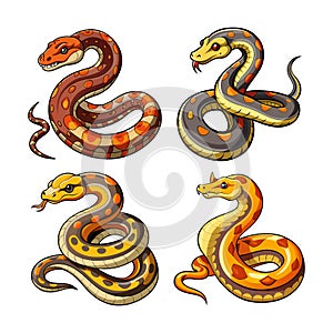 Vivid Rough-Scaled Python in Tropical Habitat