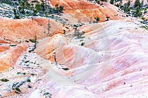 Vivid sand dunes in Bryce Canyon National Park