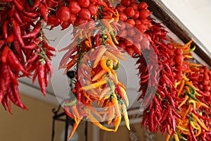 Vivid shot of chili peppers hanging on display in a shop in Amalfi Coast, Italy