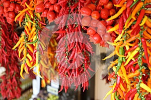 Vivid shot of chili peppers hanging on display in a shop in Amalfi Coast, Italy