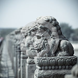 Vivid stone lion