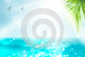 Vivid Summer background. Blurred Palm and tropical beach bokeh background. Vacation time.