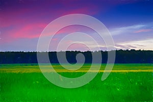 Vivid sunset meadow landscape painting background