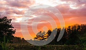 Vivid sunset in a moorland landscape, sundown giving a colorful effect in the sky and clouds