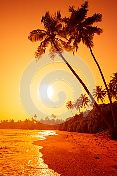 Vivid sunset on tropical beach with coconut palm trees over the water