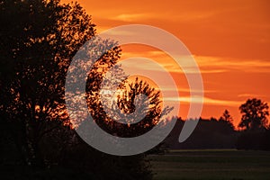 Vivid susnset with trees in foreground