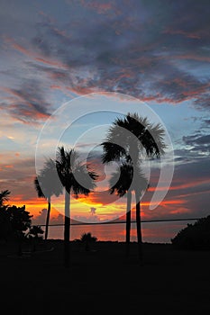 Vivid tropical sunset vertical photo