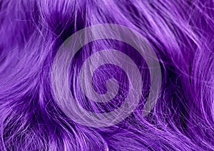 Vivid violet wavy hair, close up, hair salon advertizing, hair d photo