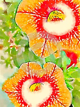 Vivid Watercolor and Ink Flower Art
