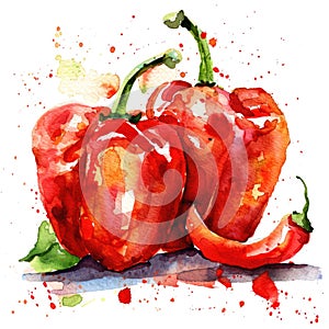 Vivid watercolor portrayal of a red bell pepper with striking color contrasts