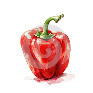 Vivid watercolor portrayal of a red bell pepper with striking color contrasts