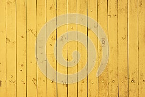 Vivid yellow wooden texture background. Wall surface. Vertical wooden boards with nails