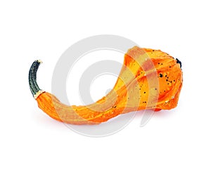 Vividly orange unusually shaped autumn squash