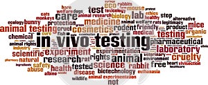 In vivo testing word cloud