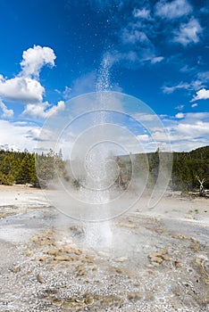 Vixen Geyser photo