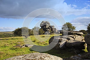 Vixen Tor, Dartmoor National Park Devon, uk