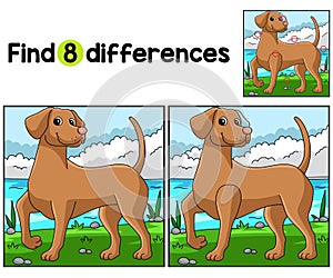 Vizsla Dog Find The Differences