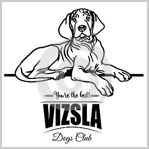 Vizsla - vector illustration for t-shirt, logo and template badges photo