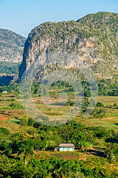 The ViÃÂ±ales valley in Cuba photo