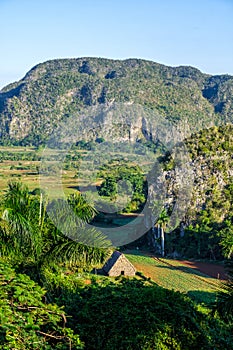 The ViÃÂ±ales valley in Cuba photo