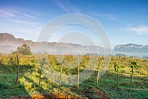 ViÃÂ±ales valley view in Cuba. Unreal nature with lakes, mountain, trees, wildlife. Gorgeus sky. photo