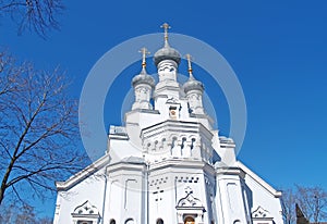 Vladimirsky Cathedral against the background of the blue sky. Kronstadt