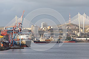 Territory of port Vladivostok with piers and the ships