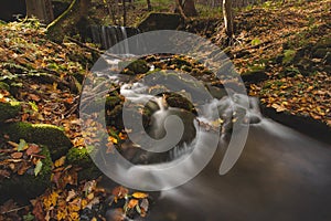 Vlasky River with waterfall illuminated with sun in an untouched landscape in the middle of an autumn mixed forest in red-orange